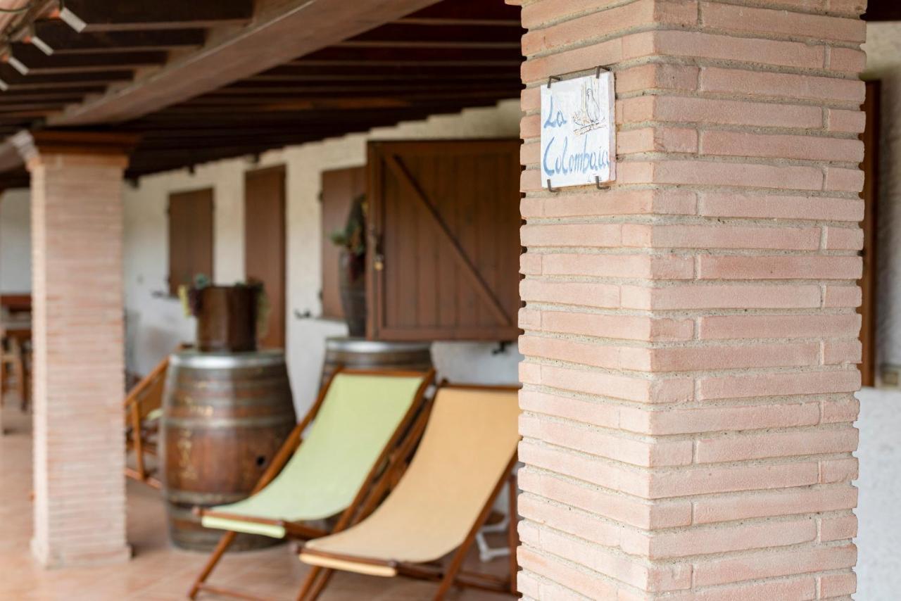 Agriturismo La Rombaia 카스틸리오네 델라 페스카이아 외부 사진